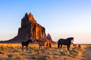 Ship Rock and horses 3-0791.jpg